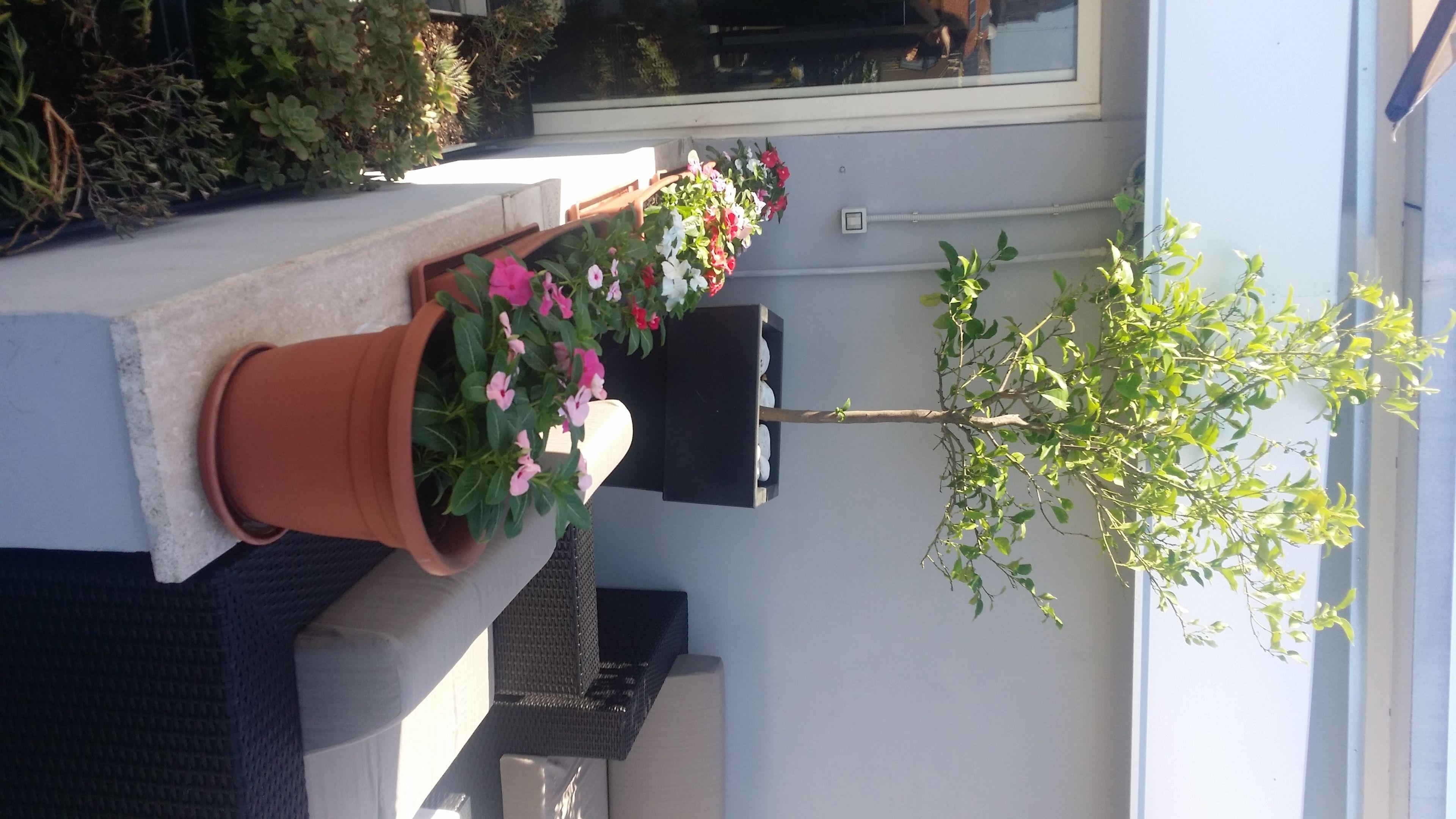 Hotel Gravina San Pietro — Fotos 3